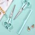 thumbnail image 4 of New Style Kit, tijeras para cortar el cabello, tijeras para adelgazar y peine, 3 piezas Vhermosa, 4 of 5
