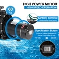 thumbnail image 4 of Bomba para piscina Leomru, 1,5 HP, 6500 LPH, autocebante, 110 V/220 V, 4 of 9