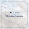 thumbnail image 2 of Suplemento de magnesio, minerales traza, Stress-X, 350 mg, 50 dosis, 2 of 6
