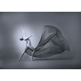 thumbnail image 2 of Adriana, Agus 18x14 White Modern Wood Framed Museum Art Print Titled - Dance With Gracefully, 2 of 4