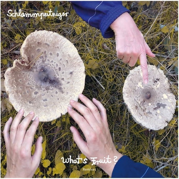 Schlammpeitziger - Whats Fruit Remixes - Pop Rock - Vinyl