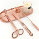 thumbnail image 5 of Bandeja de herramientas de aromaterapia Bandeja de almacenamiento de joyas Bandeja de estilo nórdico Plato de almacenamiento minimalista Oro rosa, 5 of 6