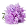 thumbnail image 3 of Enova Home Artificial Flowers Silk Dahlia Fake Flowers Arrangement in Rectangle Glass Vase with Faux Water for Home Office Wedding Decoration (Purple), 3 of 3
