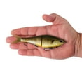 thumbnail image 3 of Berkley PowerBait® Chop Block, 6 in, Matte Shellcracker, 3 of 4