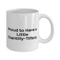 thumbnail image 2 of Reusable Chantilly-tiffany Cat Gifts, Proud To Have A Little Chantilly-tiffany., Cute Birthday Gifts From Cat Lovers, 11oz Mug, 2 of 2