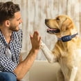 thumbnail image 3 of Riwcyla Automatic Dog Bark Collar Training Device for Dogs Waterproof IP67 Rechargeable Automation Dog Training Collar for Small Medium Large Dogs with Beep, Vibration, Safe Shock Modes, 3 of 6