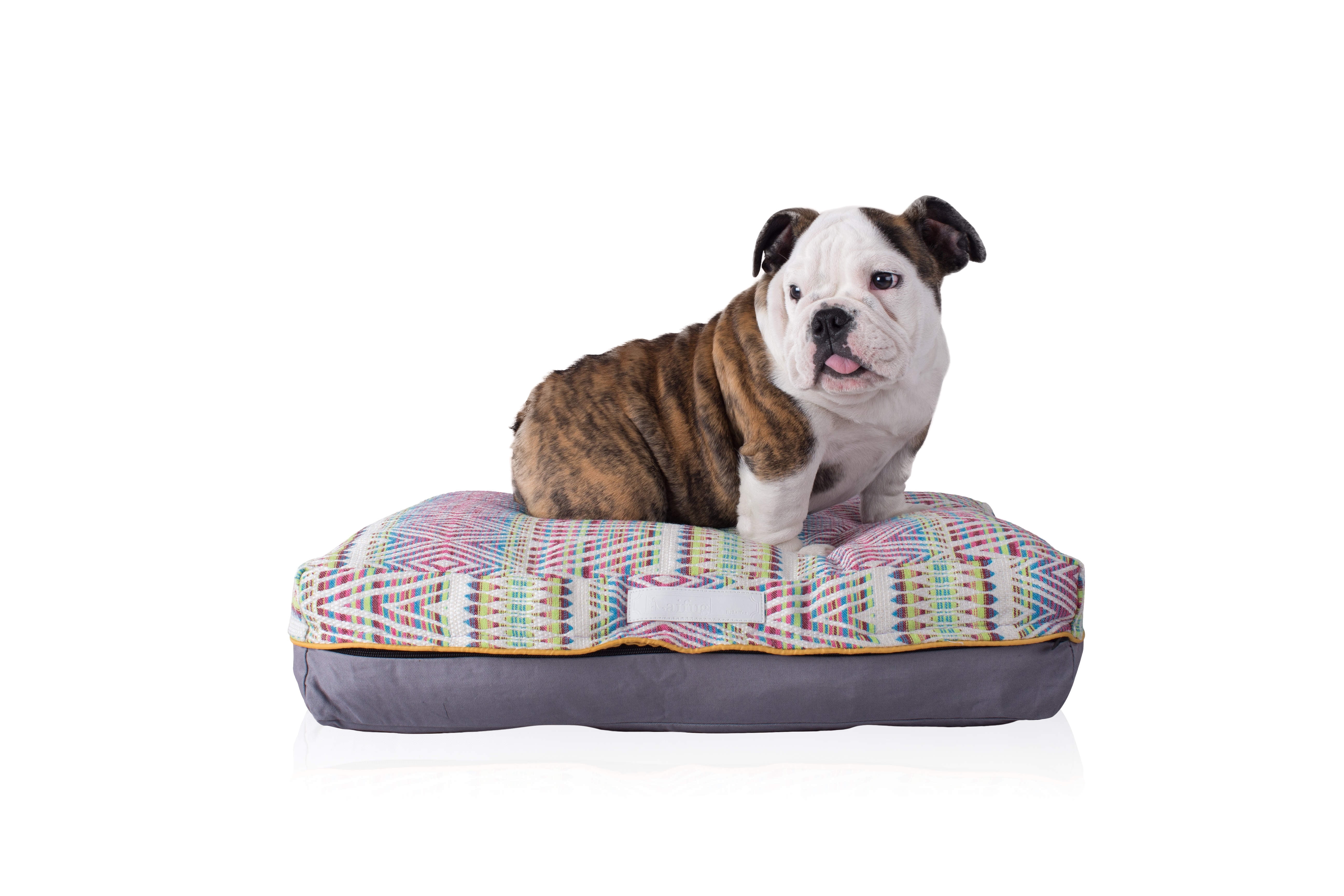 LaiFug Doublesided Comfortable Memory Foam Pet/Dog Bed(Small 23"x18"x5