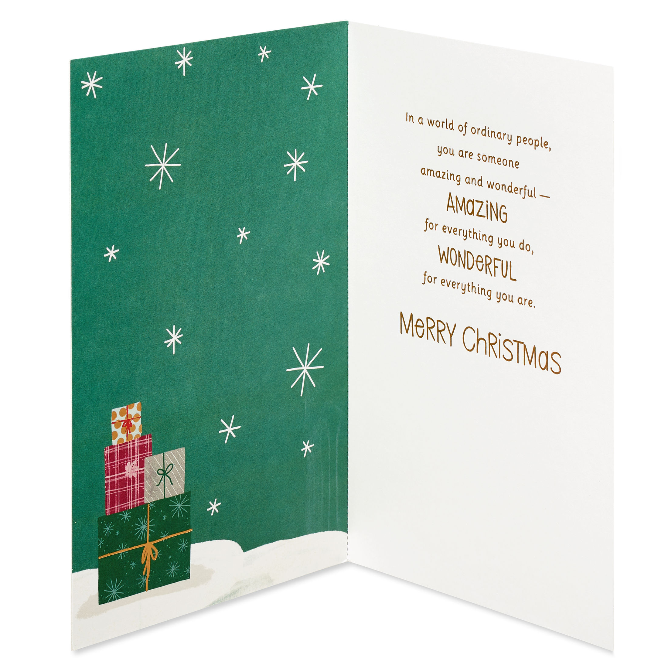 American Greetings Christmas Card for Everyone (Amazing and Wonderful)
