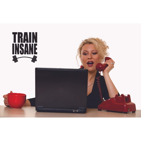 Train Insane Wall Art Decal | Motivational Quotes DIY Bedroom Living Room Office and Gym Fitness Wall 20" x 40" Decoration Stickers