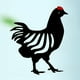 thumbnail image 4 of Estacas de metal con silueta de pollo para jardín, decoración de césped, adornos de metal Gallina, 4 of 6