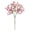 Hot Pink, variant on Artificial Boy'S Breath Is Used for Decoration, and A Light Bouquet Of Boy'S Breath Is Used for Flower Arrangements