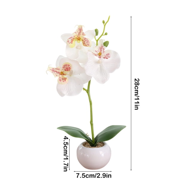 fungicide spray for plants Monterey RTS Liqui-Cop Copper Fungicide Spray main image 1