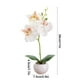 thumbnail image 3 of Bonsái De Orquídea Artificial De Tela 1 unidad de bonsái de Phalaenopsis de tela blanca y cerámica,orquídea artificial alta de seda en maceta para decoración del hogar y bodas. Rkxzt, 3 of 8