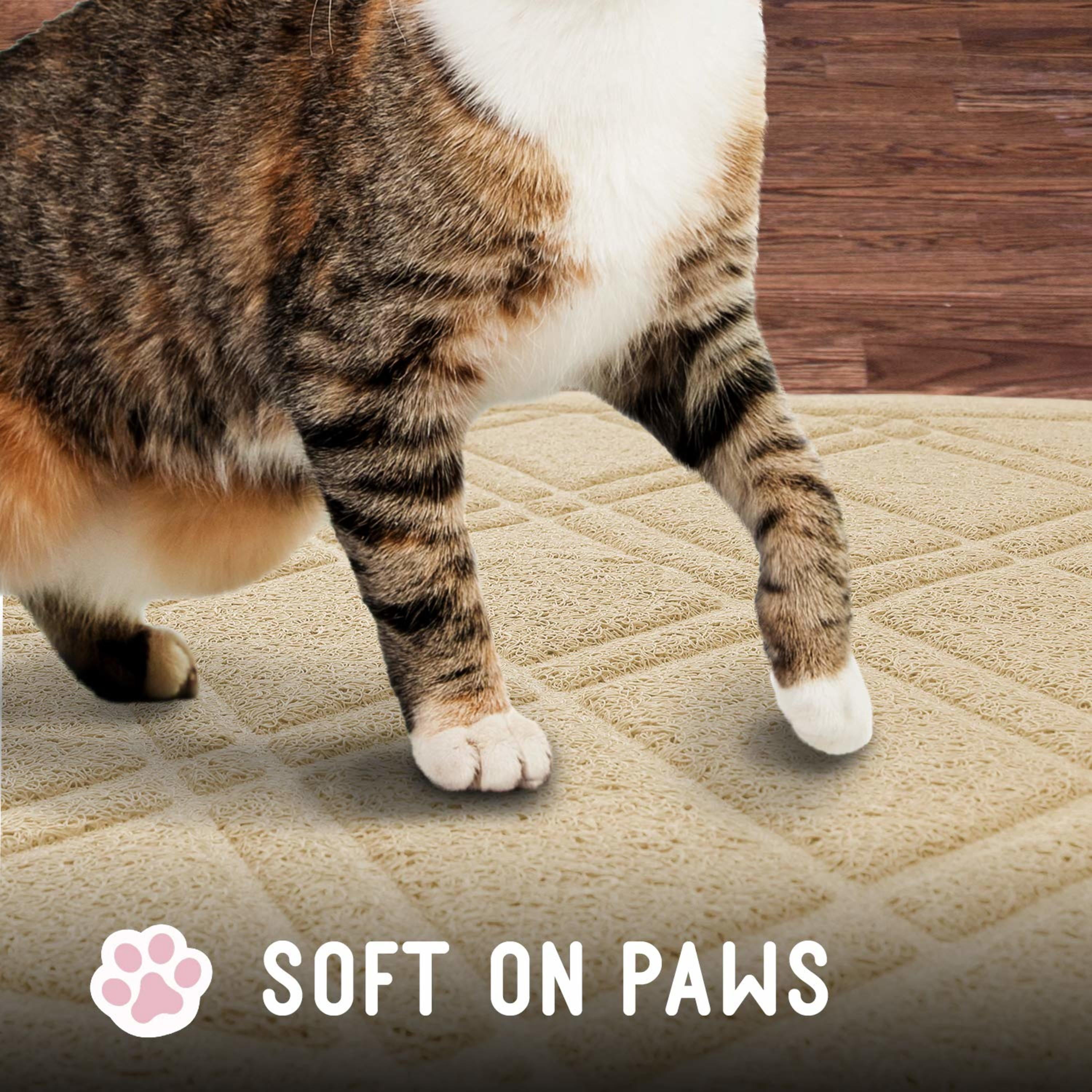 Downtown Pet Supply Non Slip and Washable Cat Litter Mat 15.5" x 23", Beige