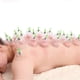 thumbnail image 5 of 12pcs Nese Therapy Set Bio Vacuum Therapy Y Suct Therapy Massag, 5 of 5