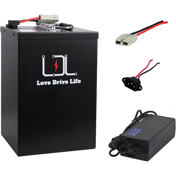 BtrPower 60V 30Ah LiFePO4 Battery Pack for 1500W Motor with 30A BMS