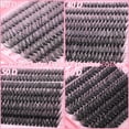 thumbnail image 4 of Kit de racimos de pestañas OLLAVO, 640 unidades, extensiones de 9 a 16 mm, rizo en D, 4 of 6