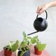 thumbnail image 5 of 1 L / 35  largo Regadera Plantas con flores Herramientas de de acero inoxidable Negro Sharpla regadera de caño largo, 5 of 7