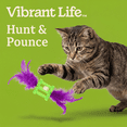 thumbnail image 4 of Vibrant Life Green and Purple Feather Rattle Cat Toy, 4 of 8