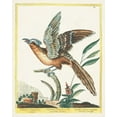 thumbnail image 2 of Unknown  20x24 White Modern Wood Framed Museum Art Print Titled - Pastel Birds IV, 2 of 4
