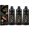 thumbnail image 1 of Herbal Hair Color Shampoo Herbal Hair Color Dye - Black, 1 of 5