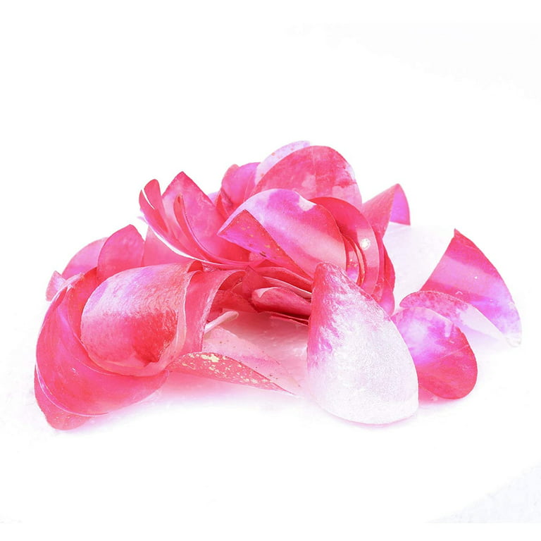 Crystal Candy Cerise-Pink-&-White Edible Petals - Colorful Edible Flowers  Petal for Cakes, Cupcakes, and Cake Decorations - Suitable for All Cakes  and Baked Goods - 1 Jar of 6 Grams, 40 Petals 
