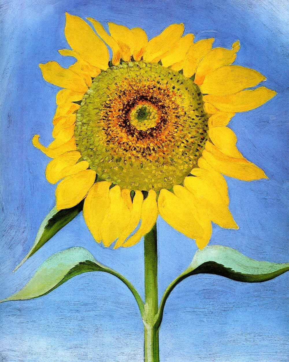Sunflower For Maggie O'Keeffe CANVAS OR PRINT WALL ART