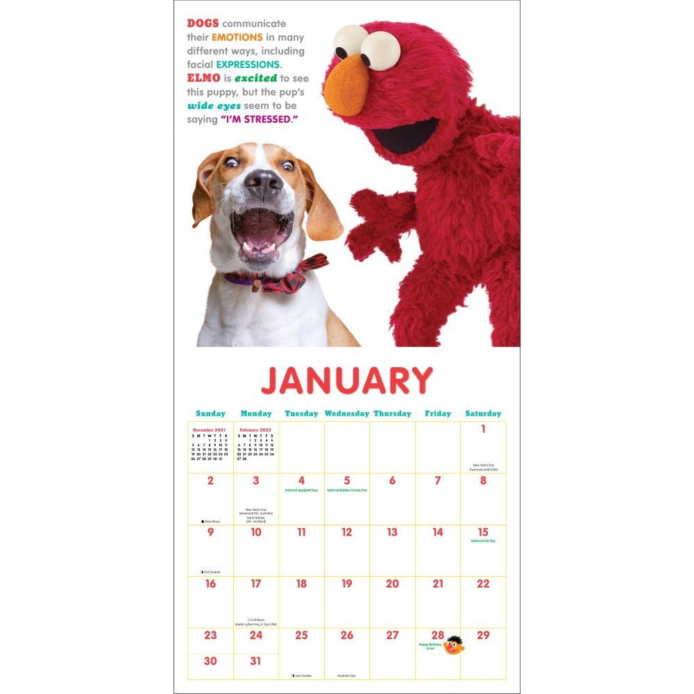 Sesame Street 2022 Wall Calendar : Sayings from Your Sesame Street Friends ( Calendar) - Walmart.com