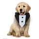 thumbnail image 5 of Corbata de pajarita para perro de esmoquin azul, cuello de perro de Halloween, bandana de cumpleaños para perros pequeños a grandes, 5 of 6