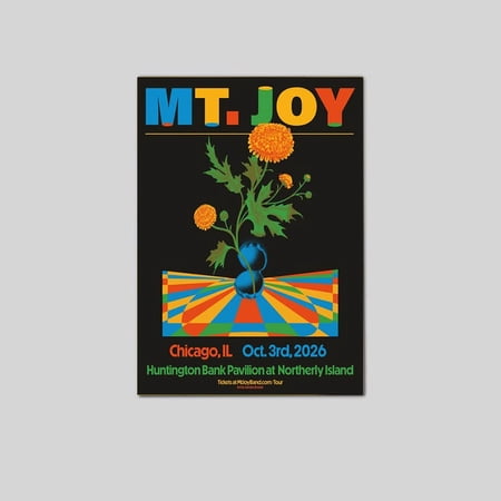 Mt. Joy music party Chicago IL Oct 2026 Poster Size 24''x36'' Goldengate