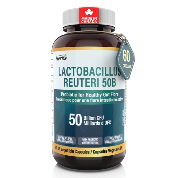 Herba Lactobacillus Reuteri 50B CFU – 60 DR Capsules | Potent L Reuteri Probiotic | With Prebiotic FOS | Shelf Stable | Made in Canada