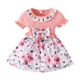 thumbnail image 4 of Kids Toddler Baby Girls Spring Summer Floral Ruffle Dress Clothing, 4 of 4