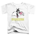 thumbnail image 2 of Looney Tunes Sylvester Kids T Shirt (2) for Youth Toddler Boys and Girls, White, 2 of 5