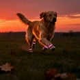 thumbnail image 4 of Cute Pink Light Up Dog Leg Band, 1 Pack, Adjustable LED Glowing Safety Strap, Rechargeable Reflective Armband for Night Jogging, Birthday Present for Female Dogs, Pink, 13.7 Inch, 4 of 7