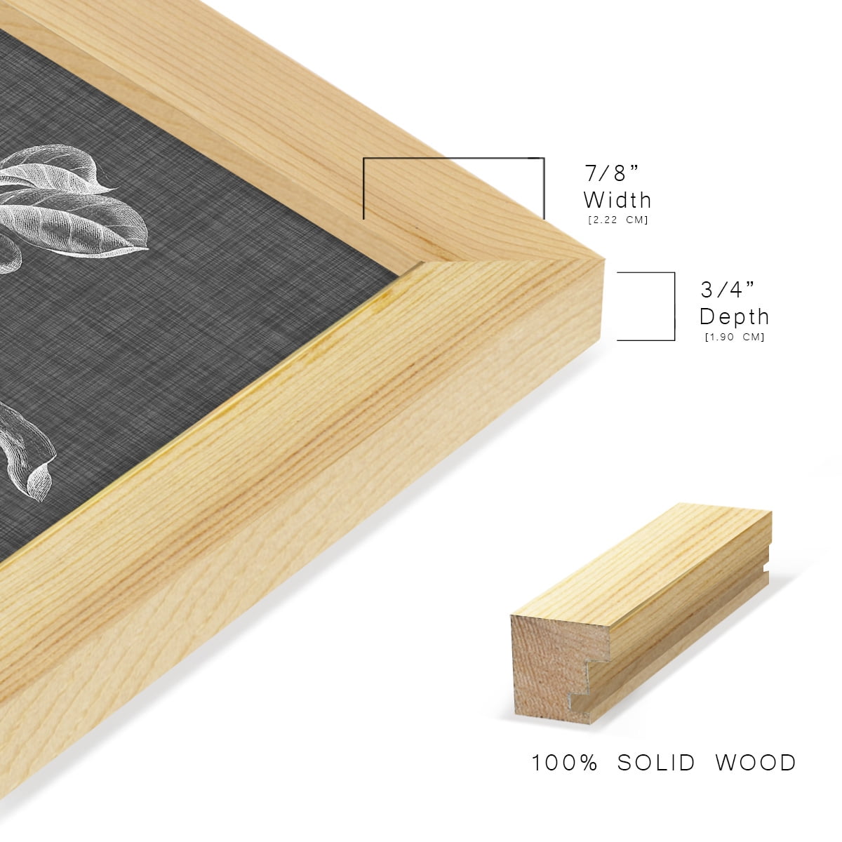 Graphic Foliage I - Framed Print w/glass - Natural Wood