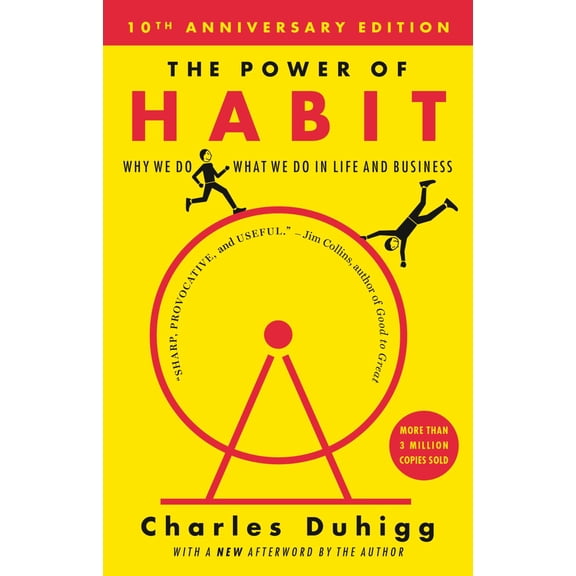 The Power of Habit: Why We Do What We Do in Life and Business (Paperback)
