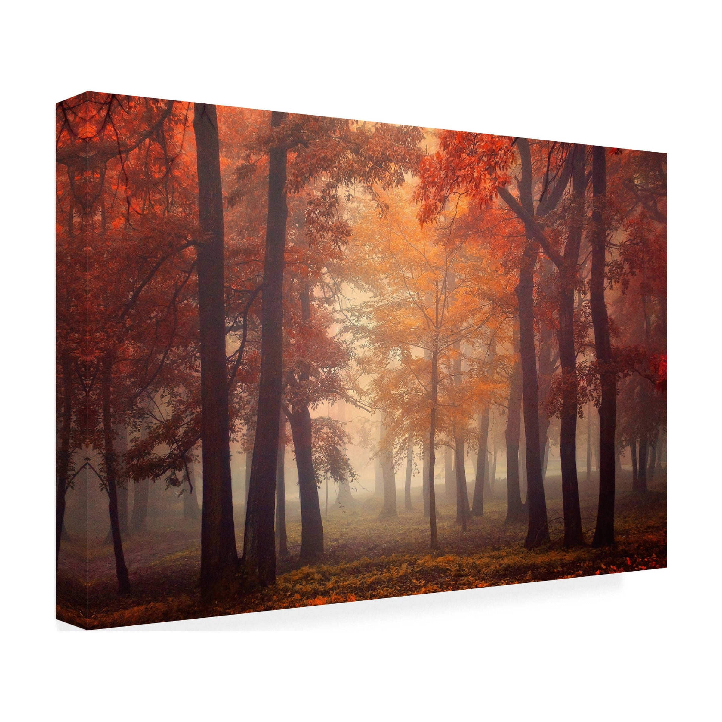 Ildiko Neer 'Feel' Canvas Art