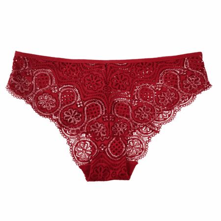 

Wish 5 Pack Women s Panties Lace Bikini Underwear Moderate Coverage Multi-packs ST-JF1 XL S1028