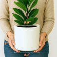 thumbnail image 6 of 8 Inch Plant Pot with Drainage Plug — Premium Lightweight Fiberstone Matte White Planter - Indoor & Outdoor Planter - 8 Inch Pots for Plants - Weather Resistant & UV Resistant, 6 of 6