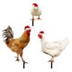 thumbnail image 1 of Estaca navideña para pollo, adorno de gallo, decoraciones para jardín y pollitos, estacas para pollitos, 3 uds., 1 of 6