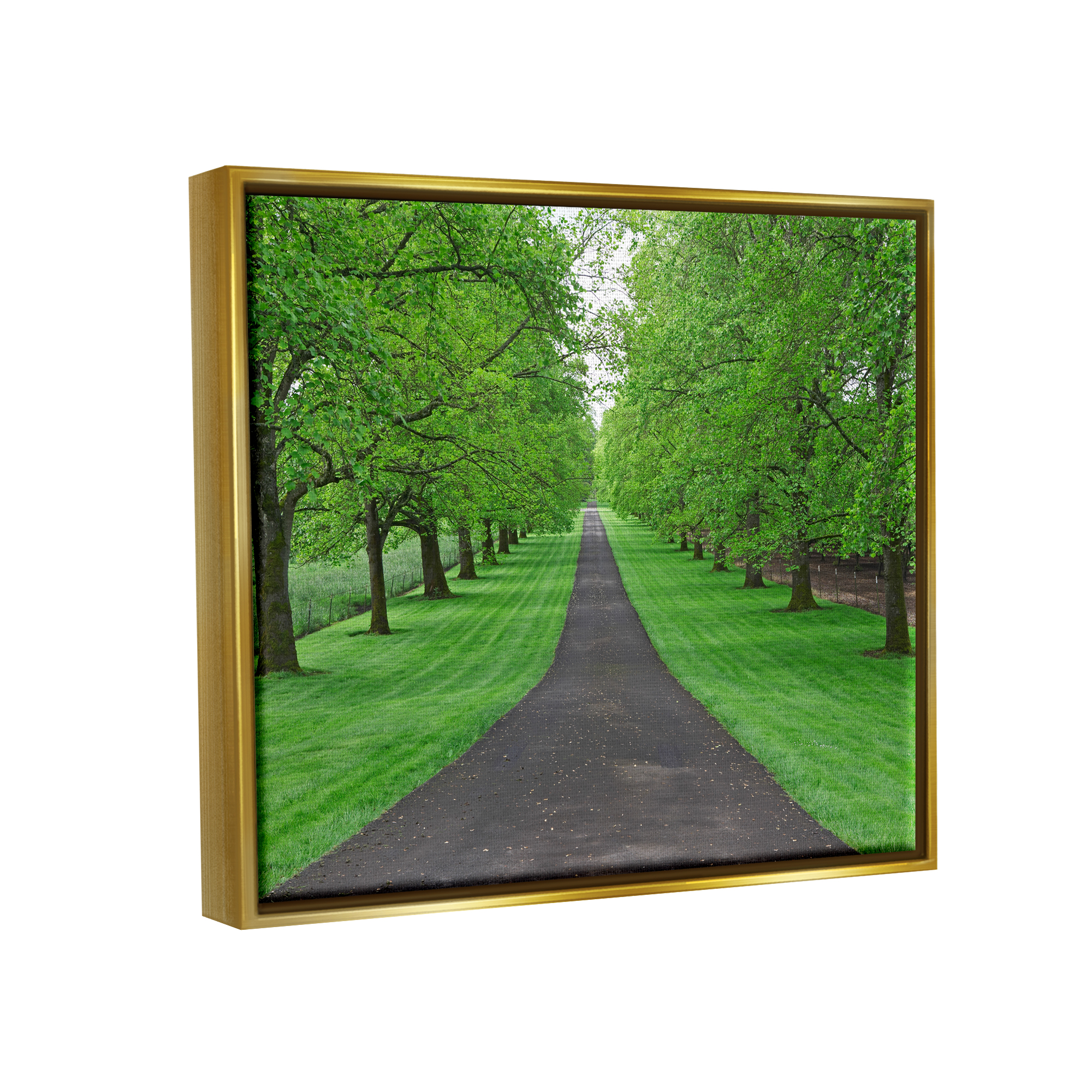 Stupell Industries Tree Grove Path Landscape Nature Photography Gold Floater Framed Art Print Wall Art, 21 x 17
