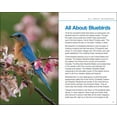 thumbnail image 2 of Bluebirds (Paperback), 2 of 4