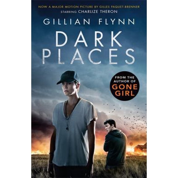 Pre-Owned Dark Places (Paperback) by Gillian Flynn