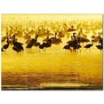 thumbnail image 1 of Bird Ceramic Tile Mural Kitchen Backsplash Bathroom Shower 402055-M43, 1 of 3