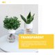 thumbnail image 4 of 6 macetas hidropónicas de plástico transparente redondas para decoración de plantas, 4 of 5