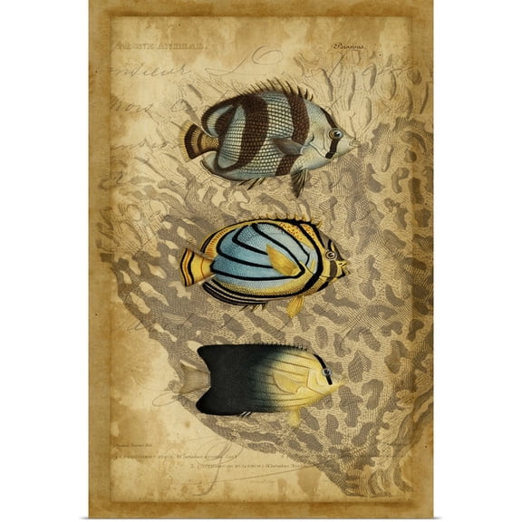 Great BIG Canvas | Rolled Vision Studio Poster Print entitled Ocean Trilogy I