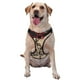 thumbnail image 1 of Fotbe Vintage Rose Botanical Art Arnés para Perro con Estampado –Chaleco Ajustable Acolchado con Asa de Control para Perros Grandes-Large, 1 of 6