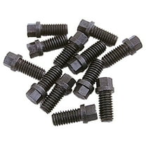 Trans-Dapt Mini Head Header Bolts (12)