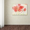 thumbnail image 4 of Trademark Fine Art Sheila Golden Coral Fiesta Canvas Wall Art - 35x47, 4 of 4