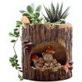 thumbnail image 1 of Pots de Plantes Succulentes en Résine Ornement en Forme de Trou d'Arbre pour Balcon Bureau, 1 of 7